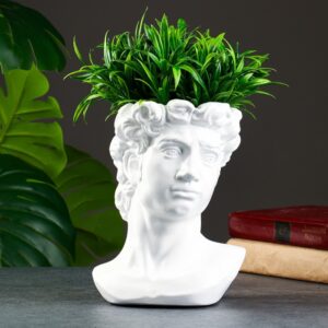 Форма силиконовая ваза Голова Давида
